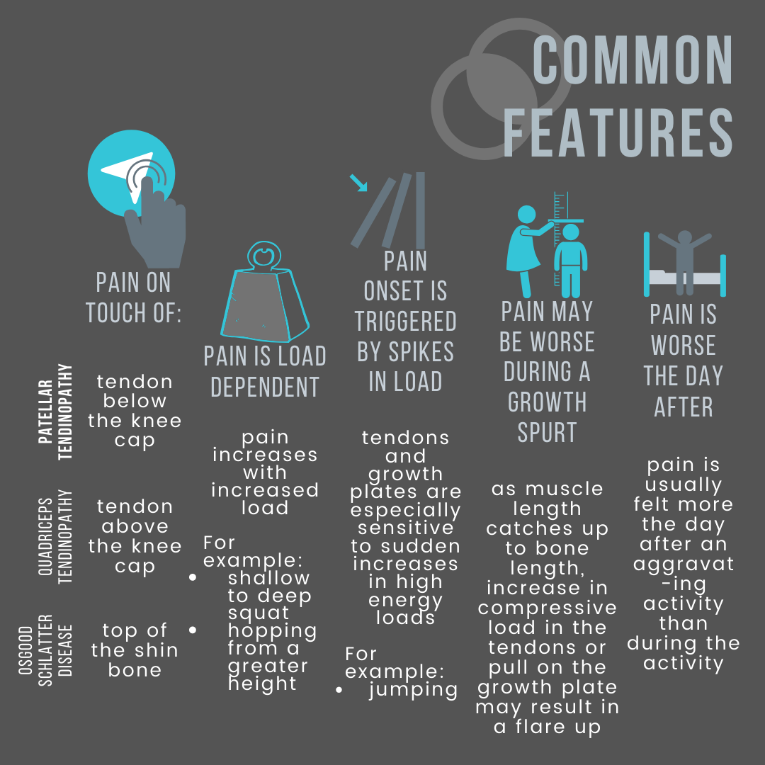 2a Common Features What is PT.png